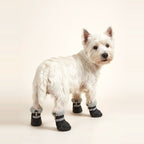 West Highland Terrier wearing the black fleece-lined winter dog boots, zipper at the back