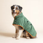 Australian Shepherd wearing the green After-Walk Drying Coat with orange trim