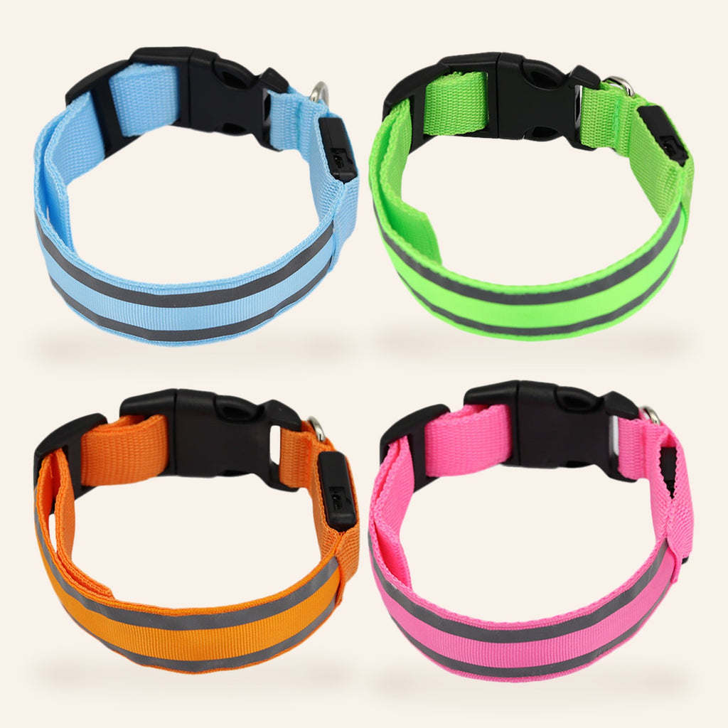 LED Light-Up Dog Collar – overview