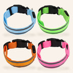 LED Light-Up Dog Collar – overview