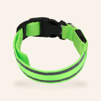 LED Light-Up Dog Collar – Green