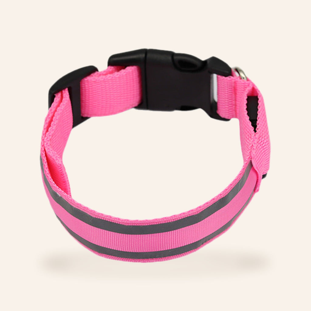 LED Light-Up Dog Collar – Pink