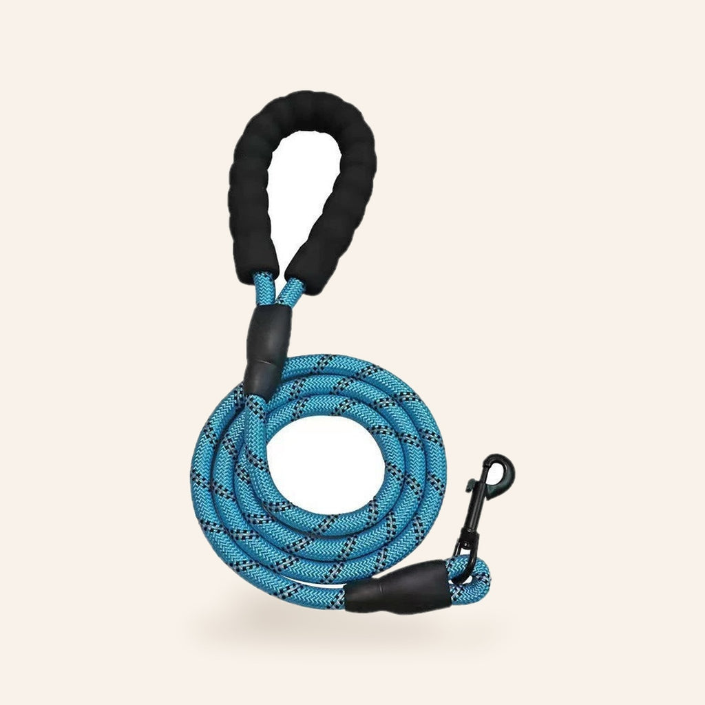 Reflective Rope Dog Leash – Blue