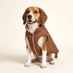 Beagle wearing the coffee Cozy Sherpa Dog Vest with sherpa-lined collar