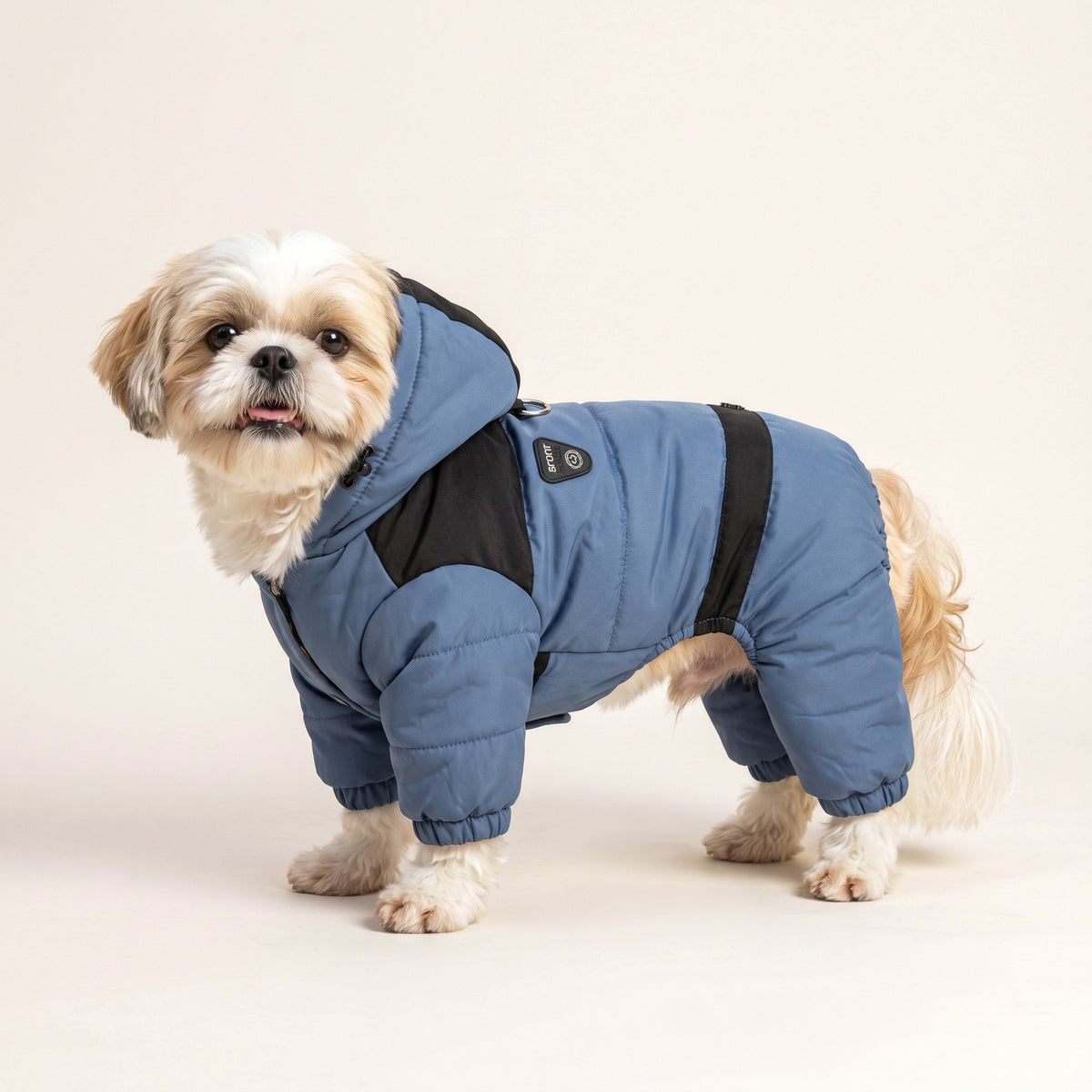 Shih Tzu wearing the blue Hooded Dog Snowsuit with full leg coverage