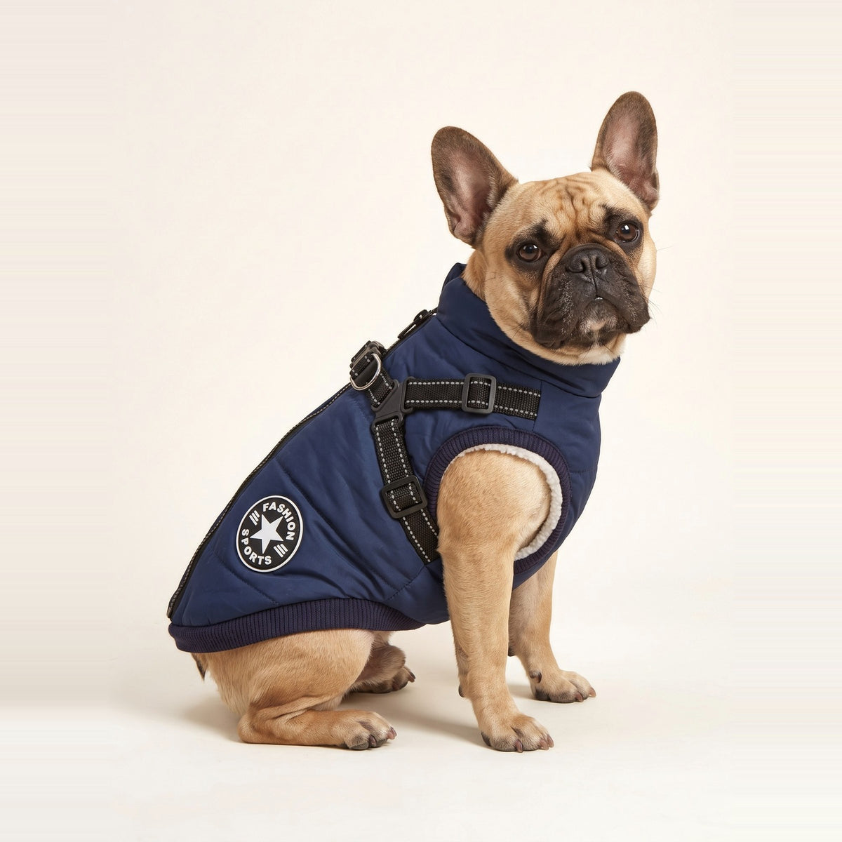 French Bulldog wearing the navy Fleece Winter Dog Vest with built-in harness